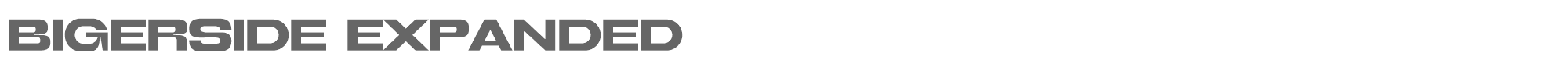 Sample characters Bigerside Font